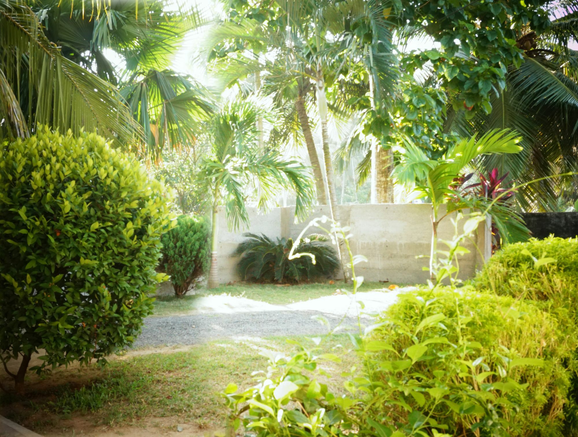 Liana Private Villa Near Tangalle Beach Dış mekan fotoğraf